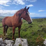Apartament The Burren, Cozy Cottage, County Clare *