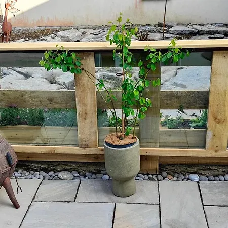 The Burren, Cozy Cottage, County Clare