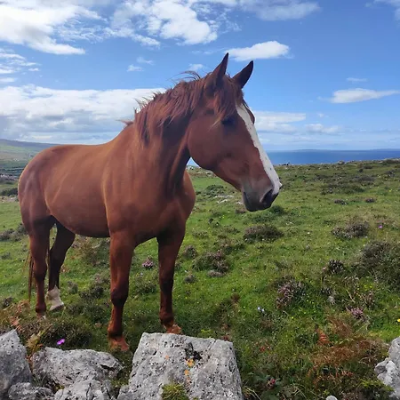 Apartmán The Burren, Cozy Cottage, County Clare *