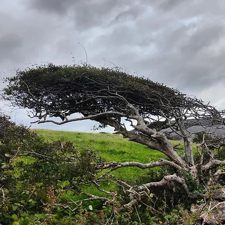 Апартаменты The Burren, Cozy Cottage, County Clare
