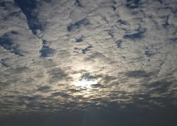 Апартаменты The Burren, Cozy Cottage, County Clare Carran (Clare)