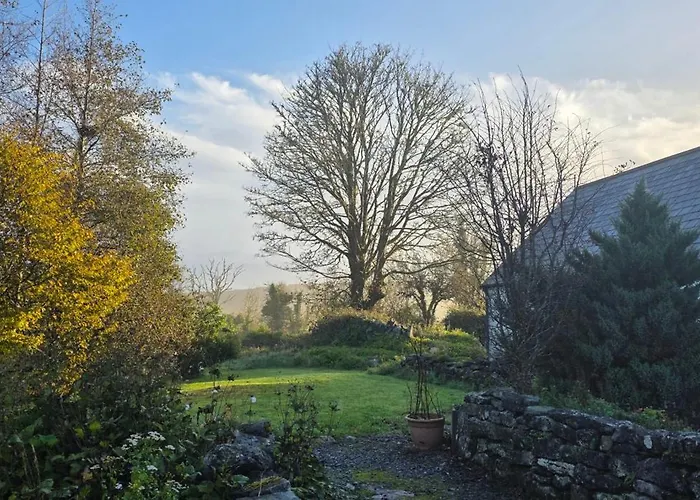 The Burren, Cozy Cottage, County Clare Апартаменты Carran (Clare)